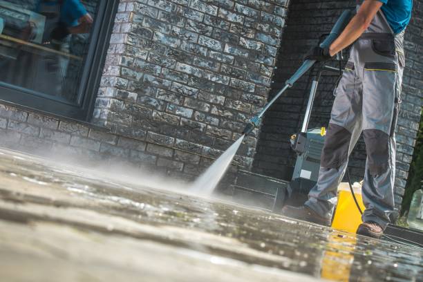 Best Animal Enclosure Cleaning  in Auxvasse, MO