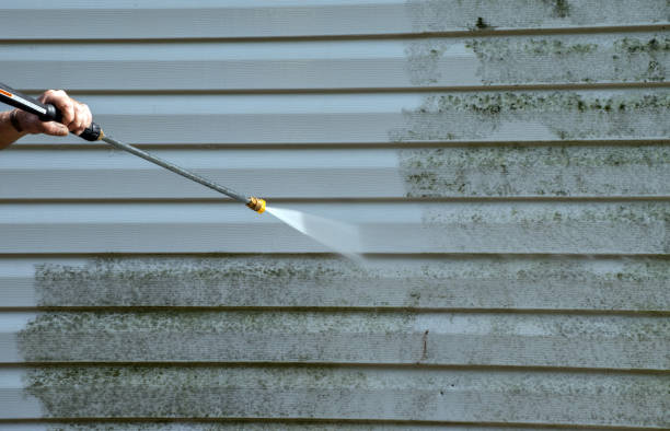 Best Sidewalk and Walkway Cleaning  in Auxvasse, MO