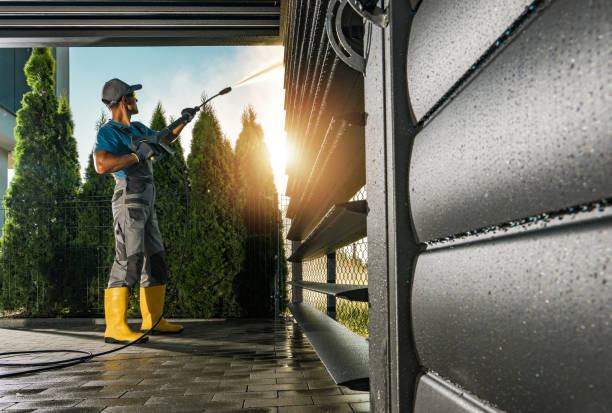Best Roof Washing  in Auxvasse, MO